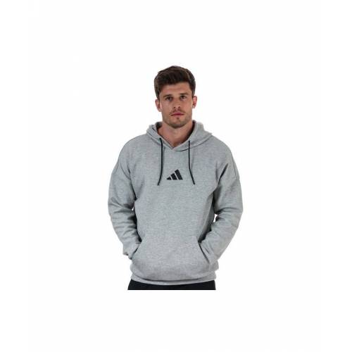 Bild von adidas Mens Hoodie Grey Heather Xlin Cotton