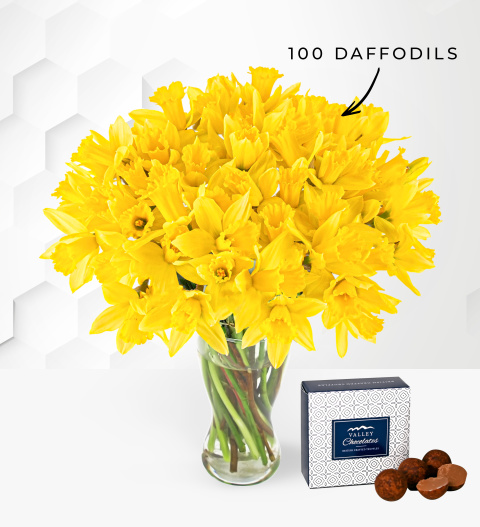 Bild von British Grown Daffodils – Free Chocs